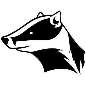 card image caption